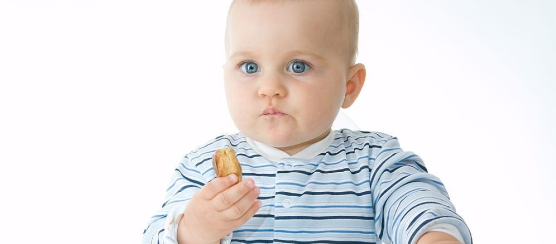 cute baby boy eating biscuits, on white