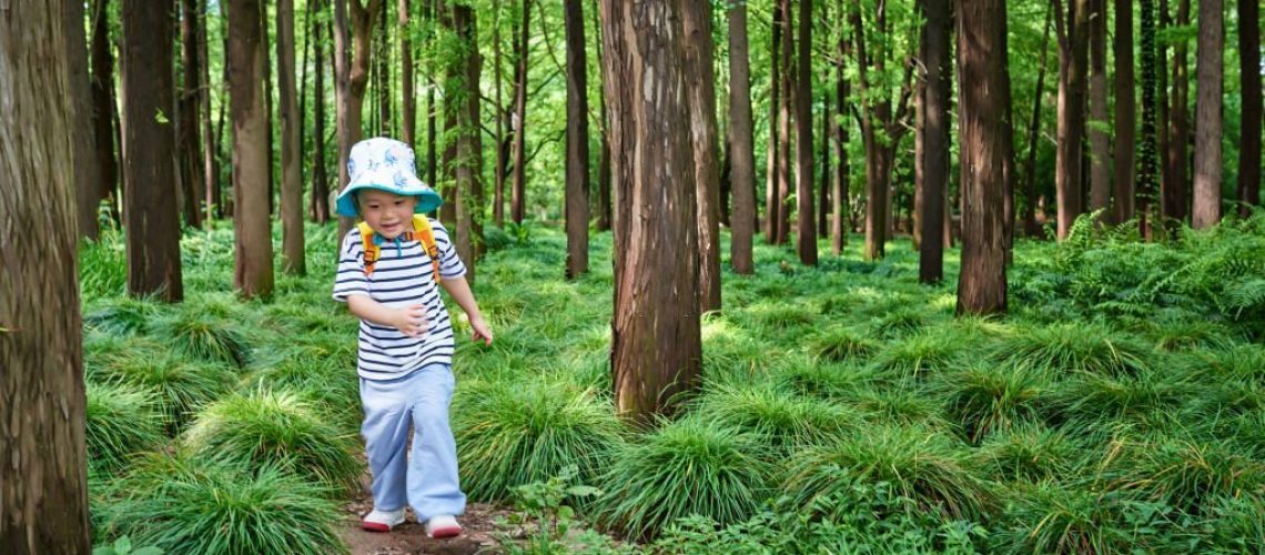 One little boy walking and hiking by the dirt road in forest.